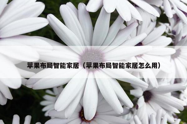 苹果布局智能家居（苹果布局智能家居怎么用）