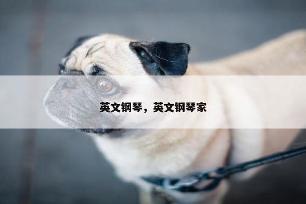 英文钢琴，英文钢琴家