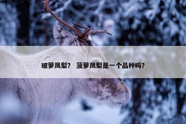 玻萝凤梨？ 菠萝凤梨是一个品种吗？