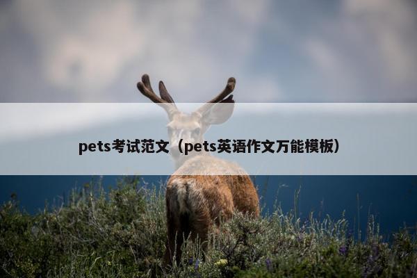 pets考试范文（pets英语作文万能模板）