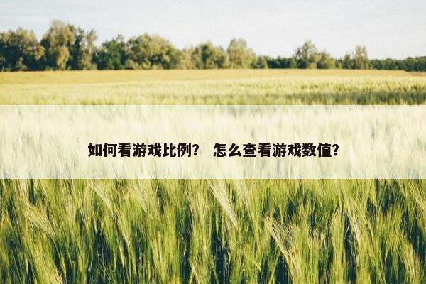 如何看游戏比例？ 怎么查看游戏数值？
