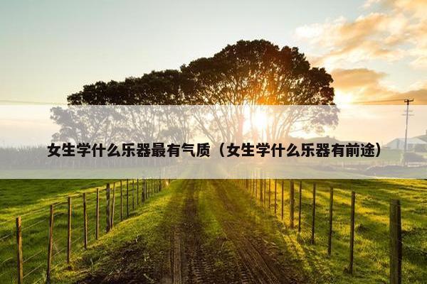 女生学什么乐器最有气质（女生学什么乐器有前途）