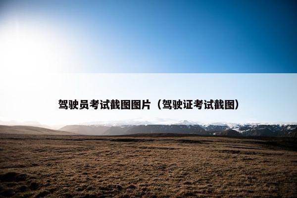 驾驶员考试截图图片（驾驶证考试截图）