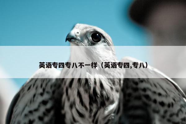 英语专四专八不一样（英语专四,专八）