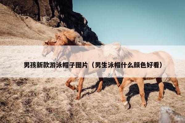 男孩新款游泳帽子图片（男生泳帽什么颜色好看）