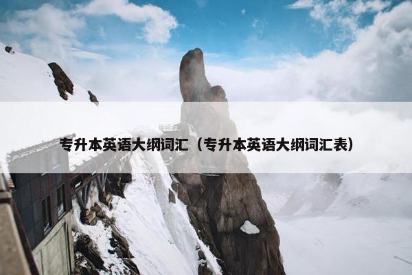 专升本英语大纲词汇（专升本英语大纲词汇表）