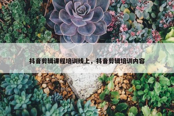 抖音剪辑课程培训线上，抖音剪辑培训内容