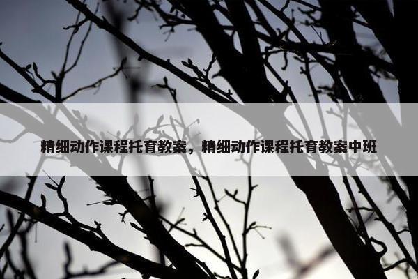 精细动作课程托育教案，精细动作课程托育教案中班