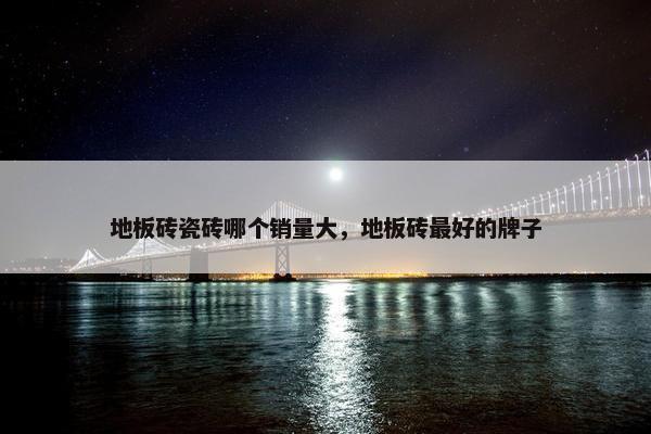 地板砖瓷砖哪个销量大，地板砖最好的牌子