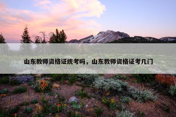 山东教师资格证统考吗，山东教师资格证考几门