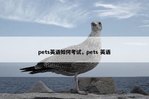 pets英语如何考试，pets 英语