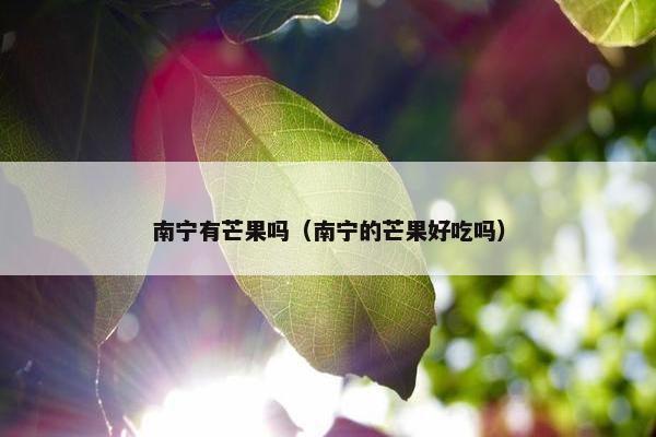 南宁有芒果吗（南宁的芒果好吃吗）