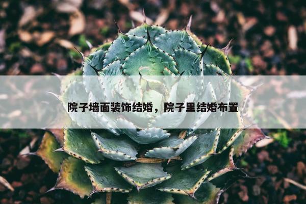 院子墙面装饰结婚，院子里结婚布置