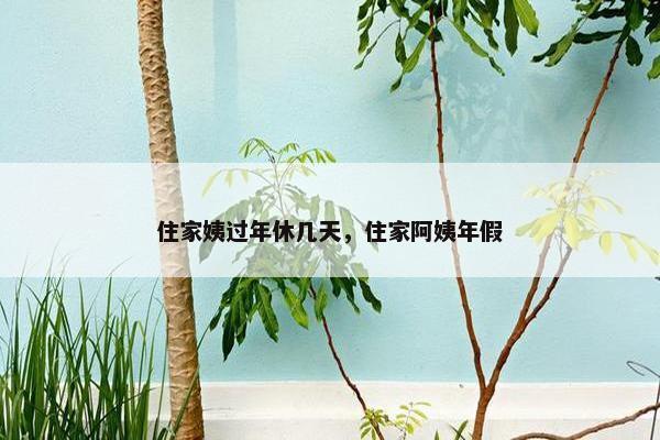 住家姨过年休几天，住家阿姨年假