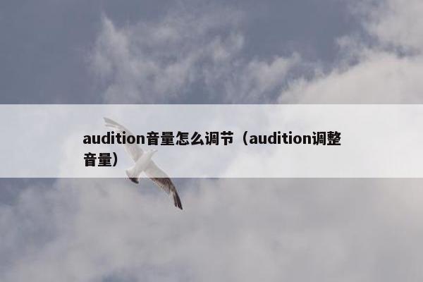 audition音量怎么调节（audition调整音量）