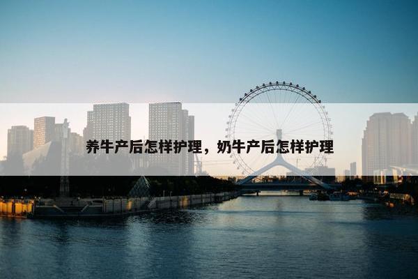 养牛产后怎样护理，奶牛产后怎样护理