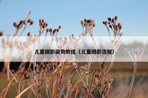 儿童摄影姿势教程（儿童摄影流程）