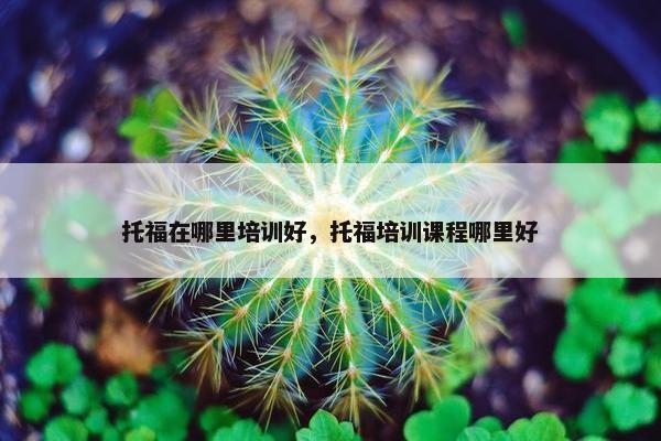 托福在哪里培训好，托福培训课程哪里好