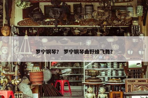罗宁钢琴？ 罗宁钢琴曲野蜂飞舞？