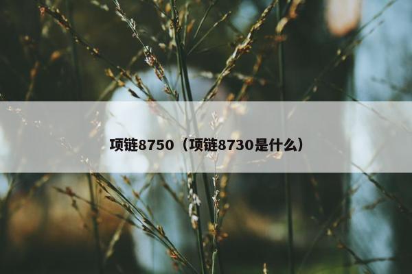 项链8750（项链8730是什么）