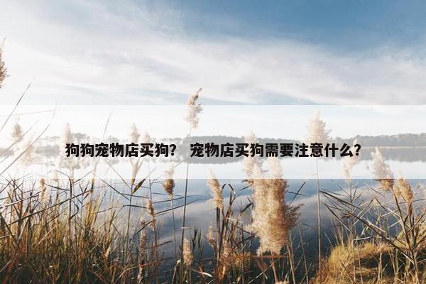 狗狗宠物店买狗？ 宠物店买狗需要注意什么？