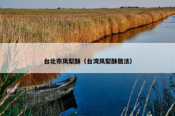 台北市凤梨酥（台湾凤梨酥做法）