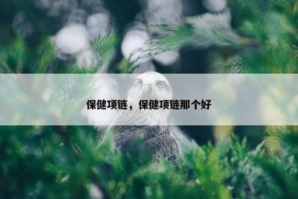 保健项链，保健项链那个好
