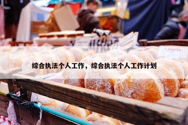 综合执法个人工作，综合执法个人工作计划