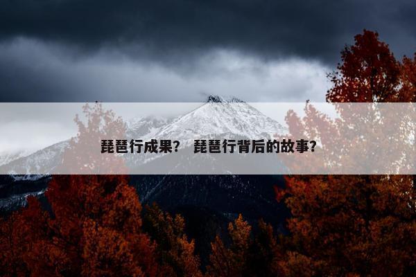 琵琶行成果？ 琵琶行背后的故事？