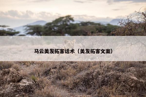 马云美发拓客话术（美发拓客文案）