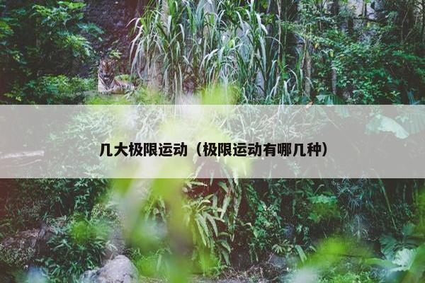 几大极限运动（极限运动有哪几种）