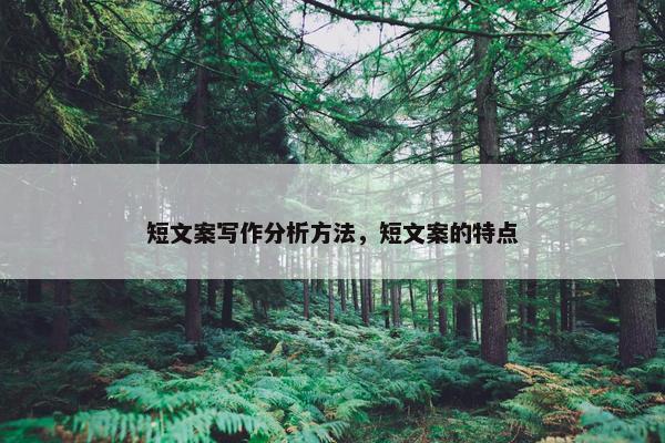 短文案写作分析方法，短文案的特点