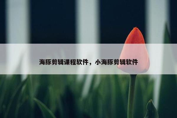 海豚剪辑课程软件，小海豚剪辑软件