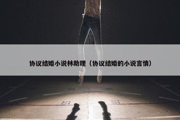 协议结婚小说林助理（协议结婚的小说言情）