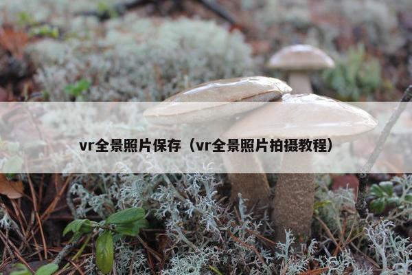 vr全景照片保存（vr全景照片拍摄教程）