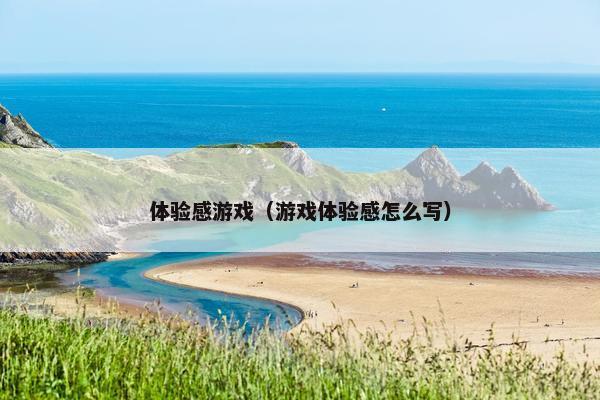 体验感游戏（游戏体验感怎么写）
