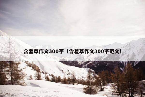含羞草作文300字（含羞草作文300字范文）