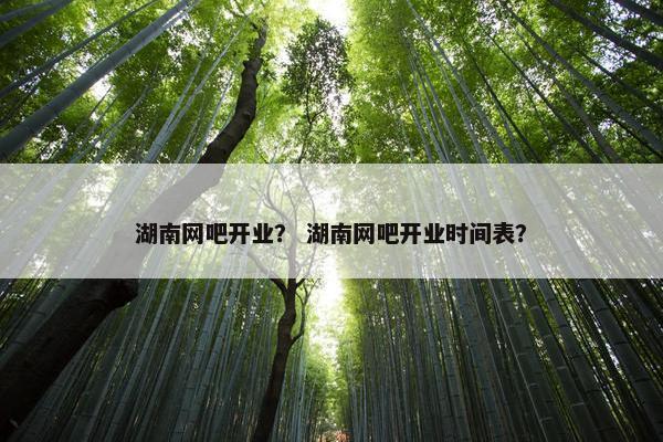 湖南网吧开业？ 湖南网吧开业时间表？