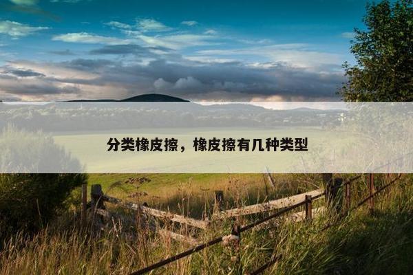 分类橡皮擦，橡皮擦有几种类型