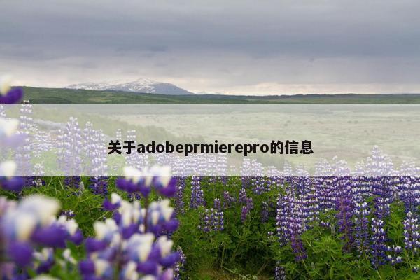 关于adobeprmierepro的信息