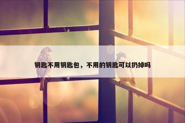 钥匙不用钥匙包，不用的钥匙可以扔掉吗