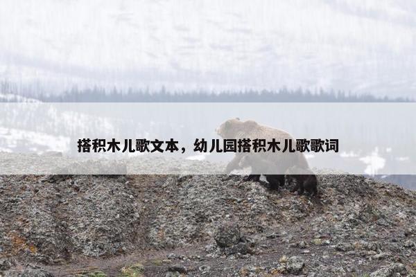 搭积木儿歌文本，幼儿园搭积木儿歌歌词