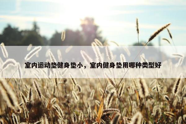 室内运动垫健身垫小，室内健身垫用哪种类型好