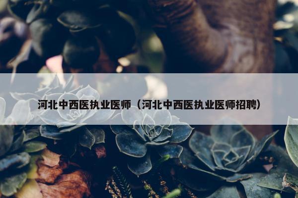 河北中西医执业医师（河北中西医执业医师招聘）