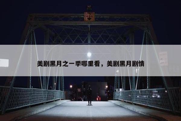 美剧黑月之一季哪里看，美剧黑月剧情