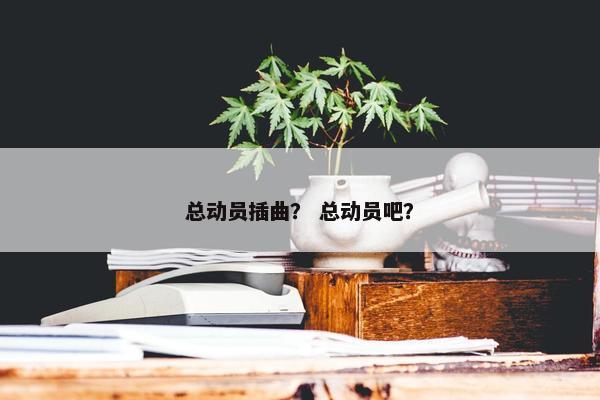 总动员插曲？ 总动员吧？