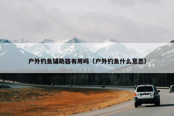 户外钓鱼辅助器有用吗（户外钓鱼什么意思）