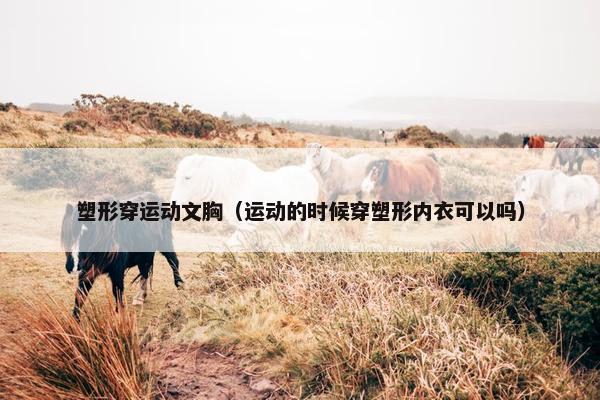 塑形穿运动文胸（运动的时候穿塑形内衣可以吗）