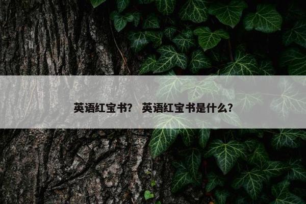 英语红宝书？ 英语红宝书是什么？