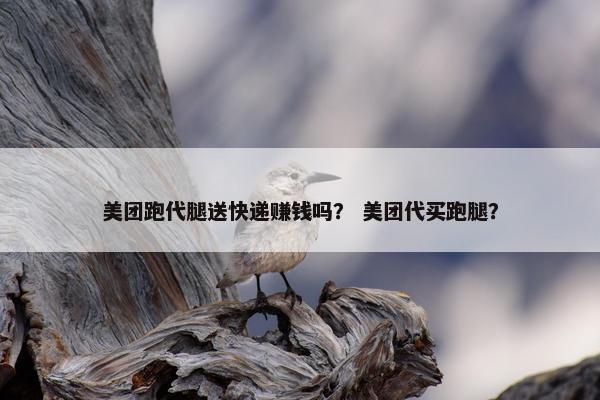 美团跑代腿送快递赚钱吗？ 美团代买跑腿？